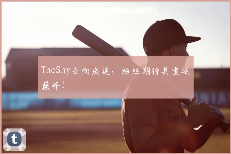TheShy去向成迷，粉丝期待其重返巅峰！