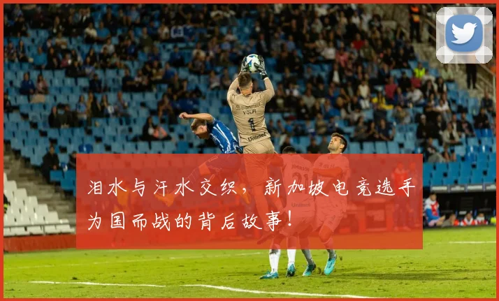 泪水与汗水交织,新加坡电竞选手为国而战的背后故事!