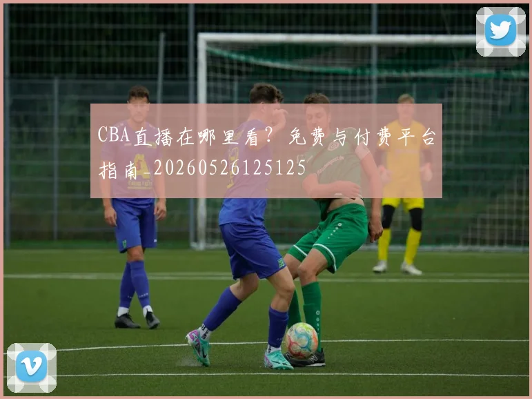 CBA直播在哪里看？免费与付费平台指南_20260526125125